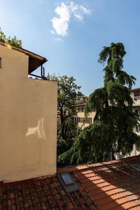 Cozy With A Strategic Position Apartamento